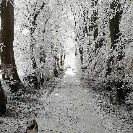 Apartamento Kathis Eifelblick Simmerath