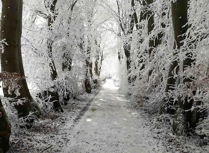 Appartement Kathis Eifelblick Simmerath